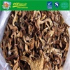 HOT SALE Dried chanterelle
