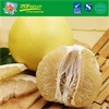 New crop organic fresh sweet pomelo