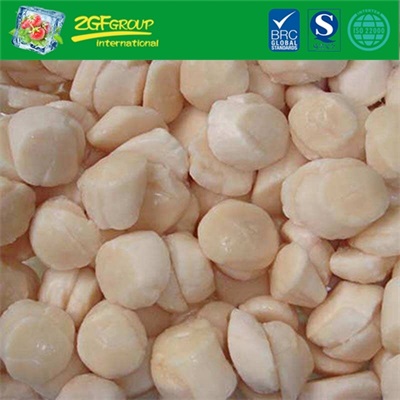 Frozen sea scallop meat