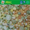 IQF mixed fruit (recipe 1-kiwi fruit+melon+mango+pineapple+snow pear)