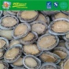 Instant Abalone