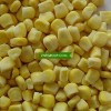 New Crop IQF sweet corn wholesale