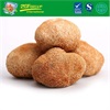 Natural Health Nutrition Food Dried Hericium