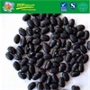 Good Grade Black Turtle Bean