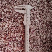 Frozen Diced  Red Onion