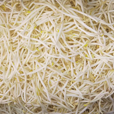 Frozen Bean Sprout
