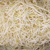 Frozen Bean Sprout
