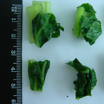 Frozen Vegetable IQF Cut Bok Choy 3-5cm