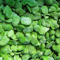 Frozen Peeled Broad Beans