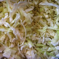Frozen Cabbage Sliced
