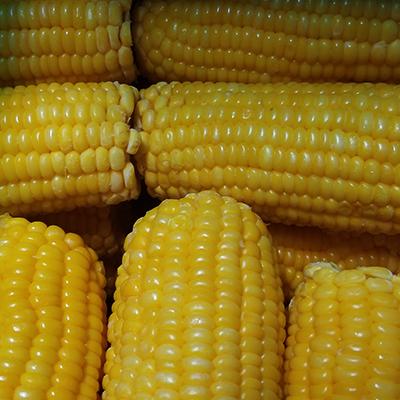 Frozen Sweet Corn Cobs