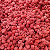 Good Grade IQF Whole Raspberry