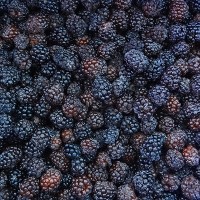 Frozen Fruits IQF Blackberry