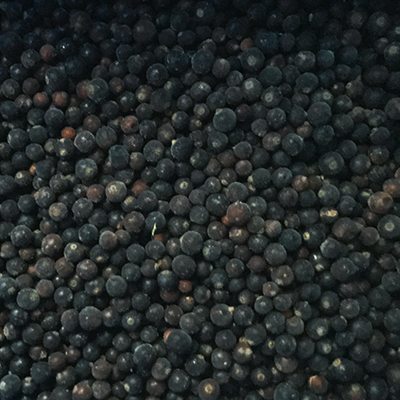 High Grade IQF Black Currant