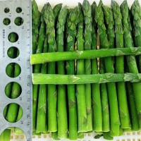 Frozen Whole Green Asparagus Spears