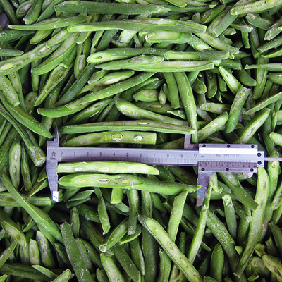 Frozen Sliced Green Beans