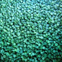 Frozen Sliced Garlic Sprout
