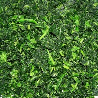 IQF Chopped Collard Green