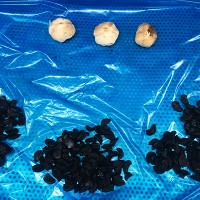 Frozen Black Garlic