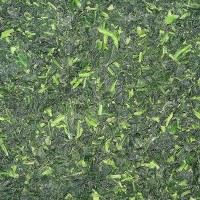 Frozen Chopped Spinach