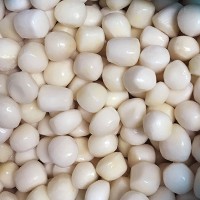 Frozen  Taro Ball