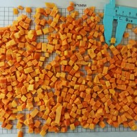 Frozen Diced Pumpkin