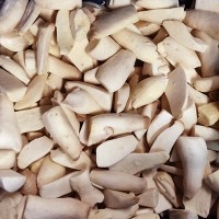 Frozen King Oyster Mushrooms Halves