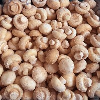 Frozen White Button Mushroom