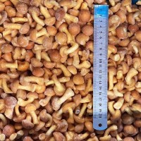 Frozen Nameko Mushrooms