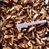 Frozen Sliced Shiitake Mushroom
