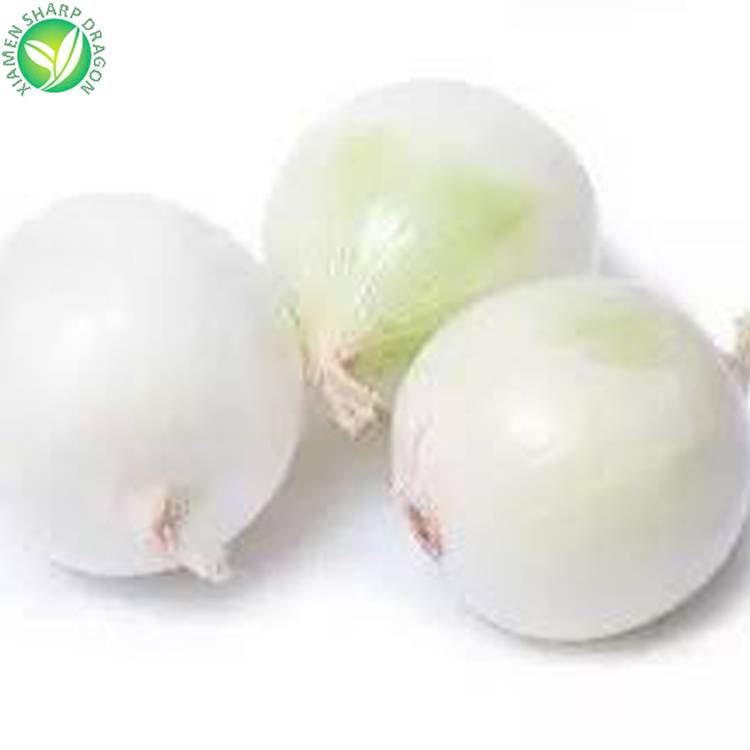Iqf Exporters Wholesale Frozen White Onion With Price Ton